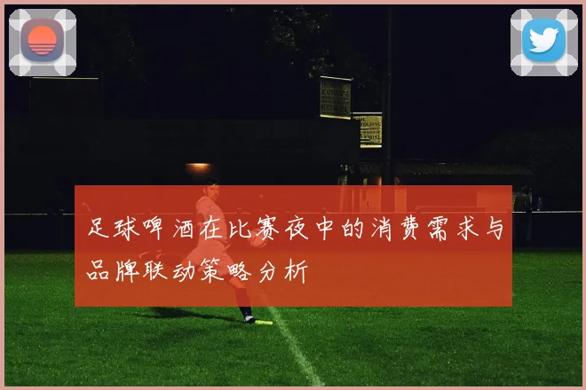 足球啤酒在比赛夜中的消费需求与品牌联动策略分析