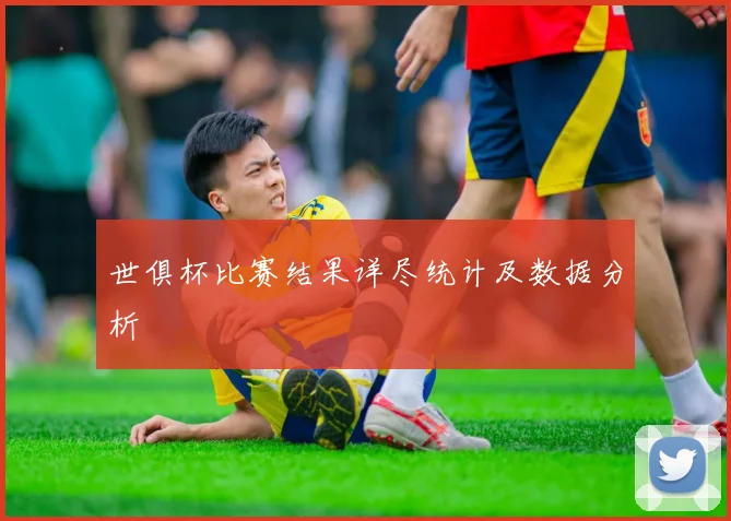 世俱杯比赛结果详尽统计及数据分析