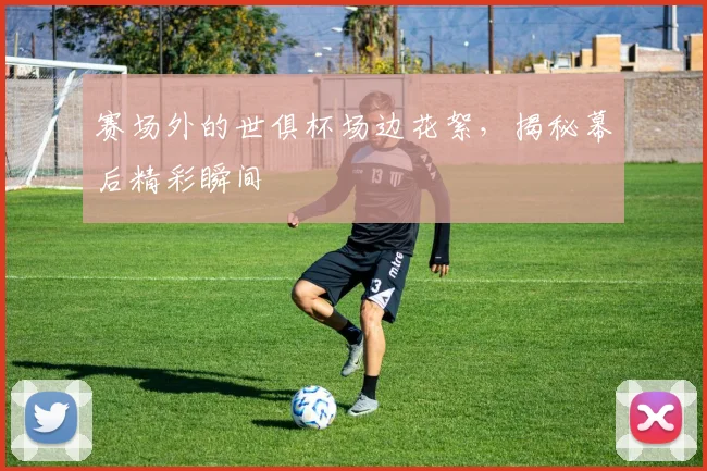 赛场外的世俱杯场边花絮,揭秘幕后精彩瞬间