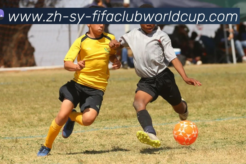 世界杯赛程平台生态图