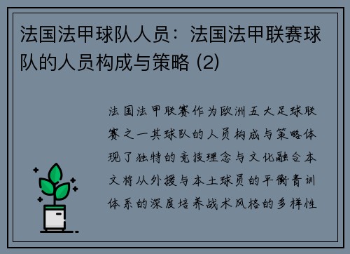 法国法甲球队人员：法国法甲联赛球队的人员构成与策略 (2)