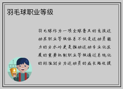 羽毛球职业等级