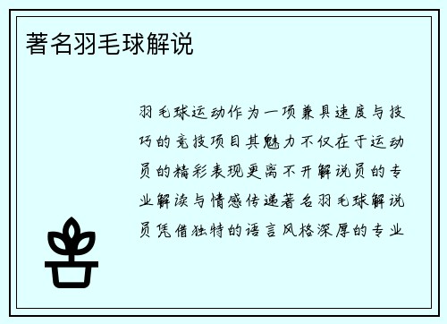 著名羽毛球解说